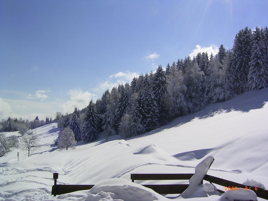 Landhof Schober Appartementen ไวสซ์บริอาค ภายนอก รูปภาพ